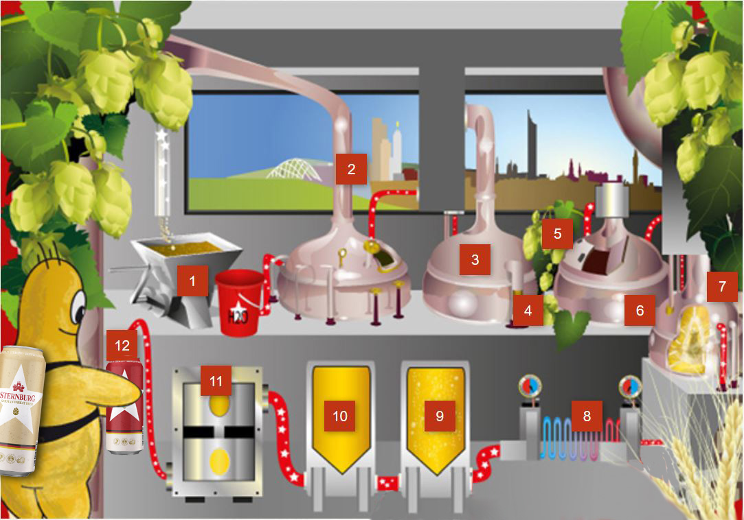 The illustration shows a simplified beer production process at our Sternburg Brewery in Leipzig, surrounded by hop plants, depicted in a total of twelve steps.