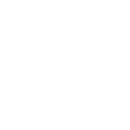 The Sternburg Beer website logo – Link to the homepage
